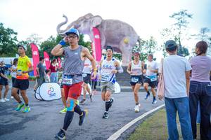 BIB: 
                            <button type="button" onclick="openModal(26551653)" class="btn btn-primary btn-sm float-right btn-popup" data-toggle="modal" data-target=".modal-high-quality">
                        <i class="fas fa-shopping-cart"></i> Add to Cart
                    </button>
                                            <button type="button" onclick="isThisMe(26551653, true)" class="btn btn-success btn-sm float-right btn-popup btn-isme hidden" data-toggle="tooltip" data-placement="bottom" title="นี่คือรูปของคุณใช่ไหม คลิกที่นี่เพื่อเอาเข้าอัลบั้ม">
                        <i class="fas fa-plus"></i> Add to album
                    </button>
                    <button type="button" onclick="isThisMe(26551653, false)" class="btn btn-warning btn-sm float-right btn-popup btn-isnotme hidden">
                        <i class="fas fa-ban"></i> Remove from album
                    </button>